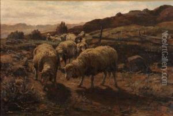 Sheep Grazing Oil Painting - William Preston Phelps