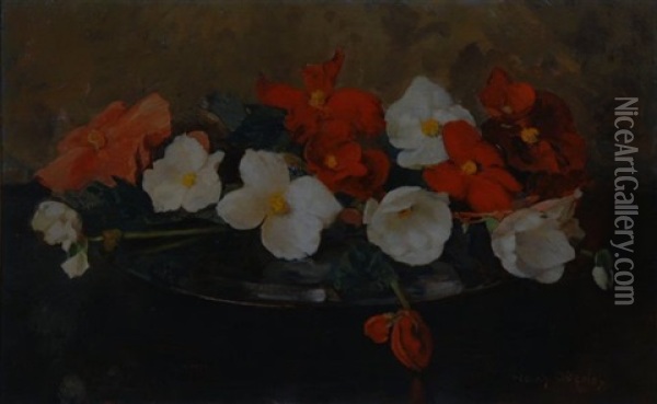 Still Life With Anemones Oil Painting - Frans David Oerder