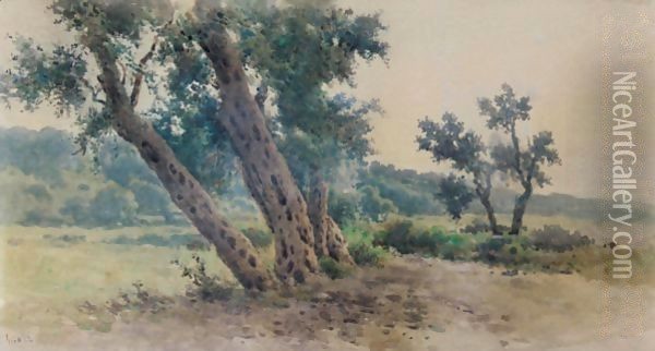 Olive Trees Oil Painting - Angelos Giallina