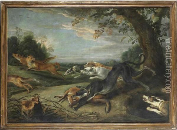 Hounds Chasing Foxes In A Wooded Landscape Oil Painting - Frans Snyders