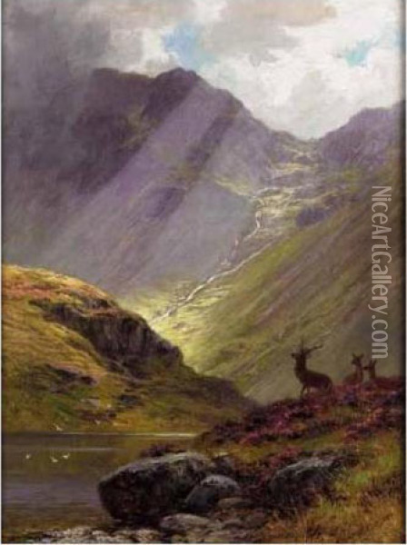 Sunlight In The Glen; The Vantage Oil Painting - Charles Stuart