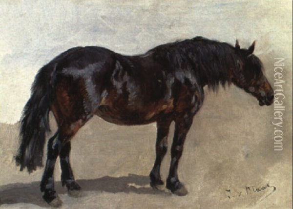 Braunes Pferd Oil Painting - Julius von Blaas