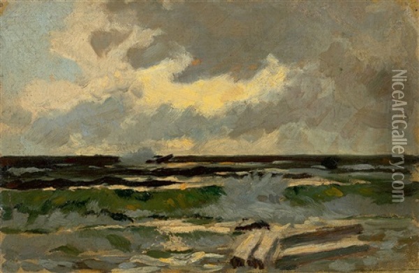 At The Baltic Sea Oil Painting - Louis Douzette