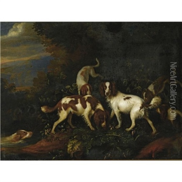 Spaniels In A Wooded Landscape Oil Painting - Adriaen Cornelisz Beeldemaker