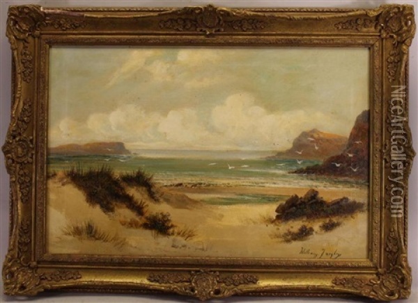 A Tranquil Beach Scene With Seagulls In Flight Oil Painting - William Langley