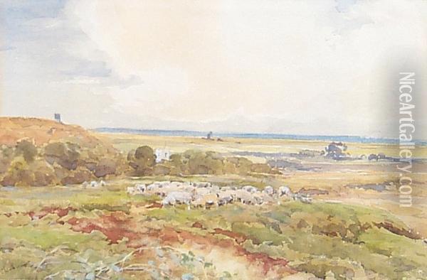 Sheep Grazing Near Cley Oil Painting - Claude Hayes