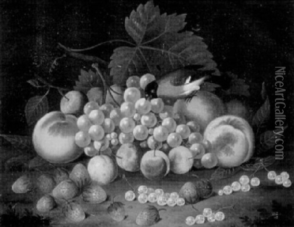 Stilleben Mit Grunem Wein, Pflaumen, Erdbeeren Und Dompfaff Oil Painting - Johann Wilhelm Preyer