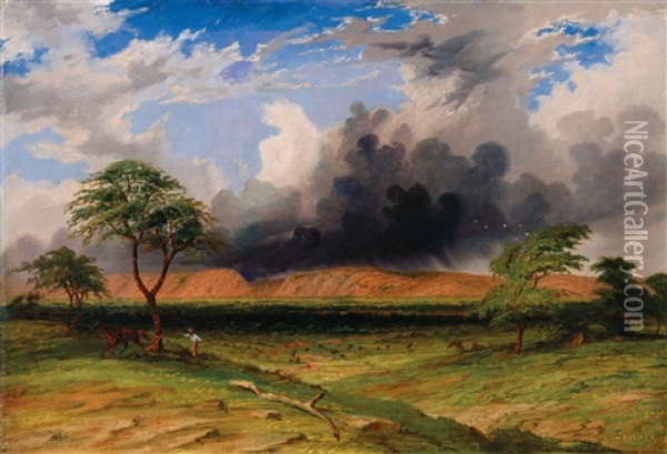 Gorge Of The Southern Branch Of Depot Creek And The Plain Over Which It Flows Oil Painting - John Thomas Baines