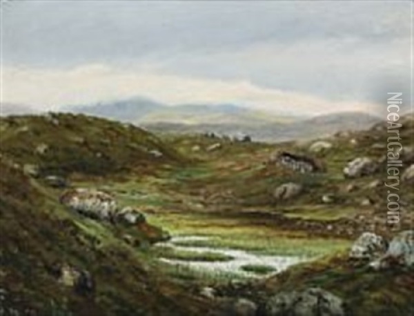 Landscape From The Faroe Islands Oil Painting - Joen Waagstein