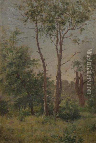 Stand Of Trees Oil Painting - Charles Francis Browne