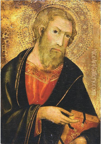 Saint Paul Oil Painting - Andrea Di Bartolo
