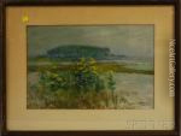 Coastal View, Probably Maine Oil Painting - Louis Doyle Norton