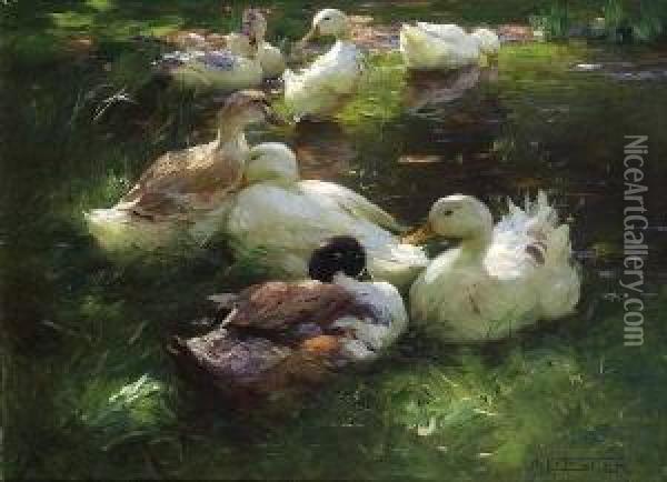 Acht Enten Am Teich. Oil Painting - Alexander Max Koester