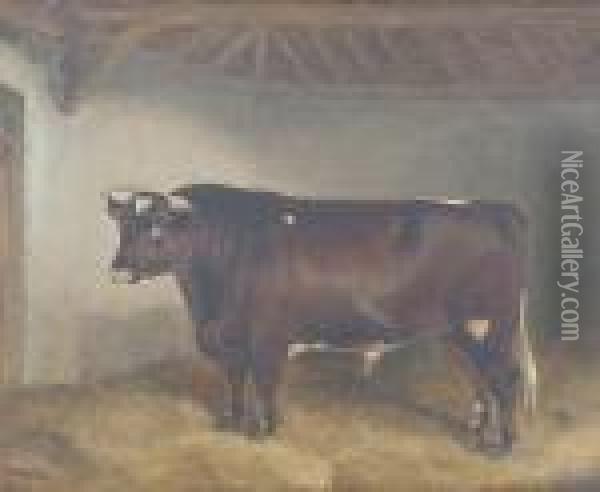 Lord Somerset 3rd - A Bull Oil Painting - Of John Alfred Wheeler