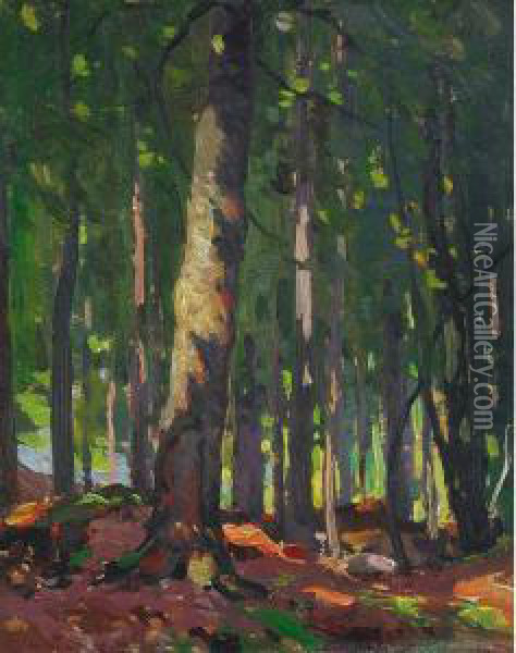 Birch Wood Interior Oil Painting - John William Beatty