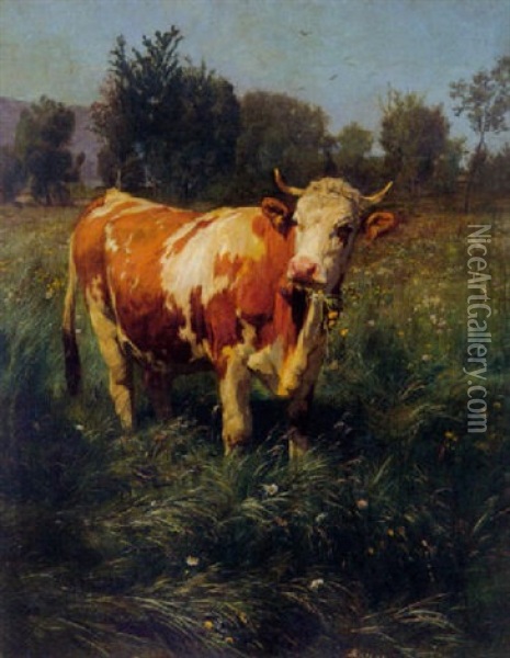 Kuh Auf Der Wiese Oil Painting - Johann Rudolf Koller