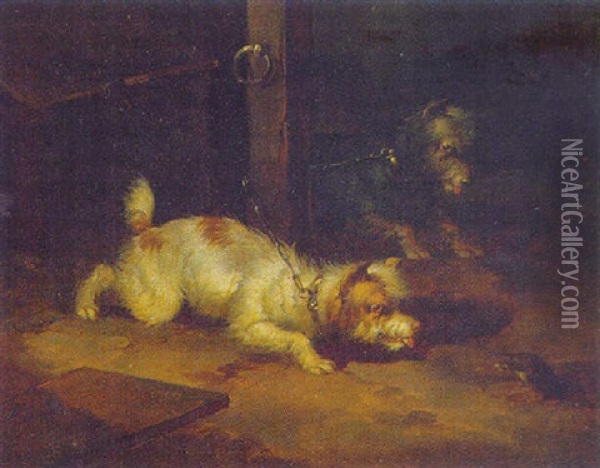 Terriers Ratting In A Barn Oil Painting - Paul Jones