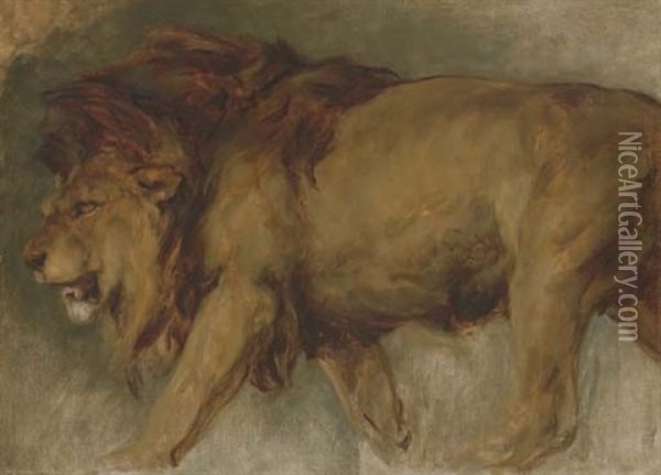 Study Of A Lion Oil Painting - Sir Edwin Henry Landseer