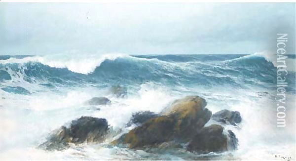Waves crashing on a rocky shore Oil Painting - David James