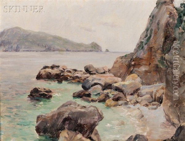 Coast Of Capri Oil Painting - Louis Ritter