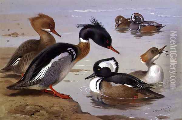 Ducks by a Lake Oil Painting - Archibald Thorburn