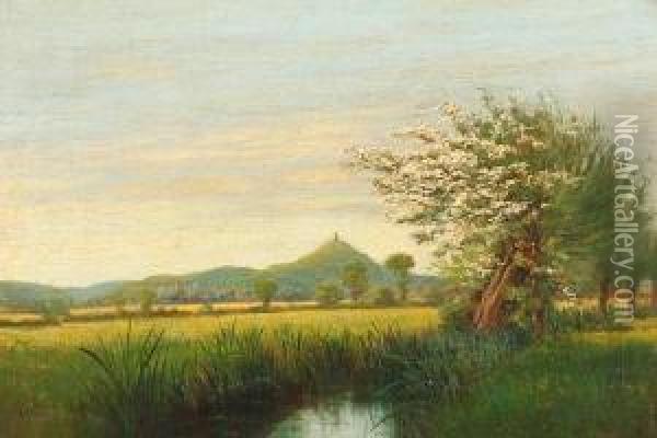 May Time On Ture Moor, Somerset Oil Painting - Alfred Oliver Townsend