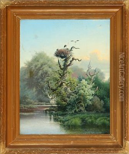 En Storkerede I Et Egetrae Oil Painting - Peter Olsted