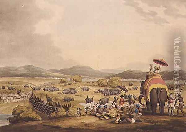 Driving Elephants Into A Keddah Oil Painting - Samuel Howitt