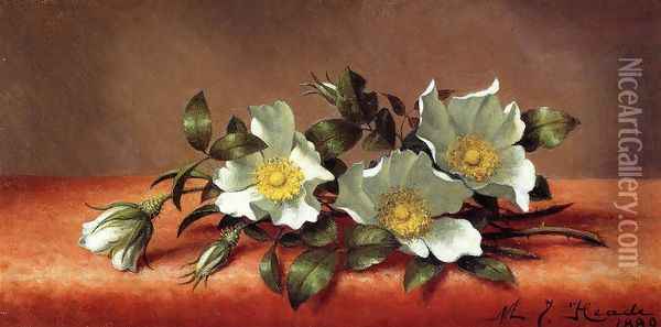 The Cherokee Rose Oil Painting - Martin Johnson Heade