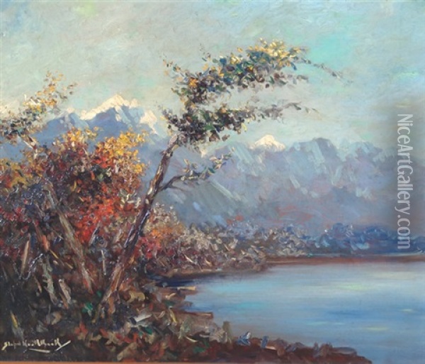 Paisaje Con Montanas Y Lago Oil Painting - Stephen Robert Koekkoek