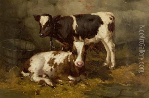 Two Calves Oil Painting - David Gauld
