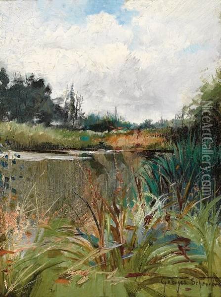 Teichlandschaft An Einemfruhlingstag Oil Painting - Georges Schreiber