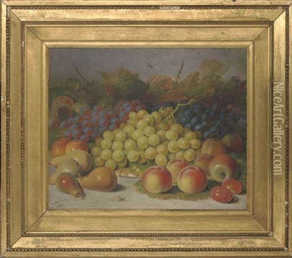 Grapes, Pears, Peaches And Apples, With Plums To The Side Oil Painting - Abel Hold