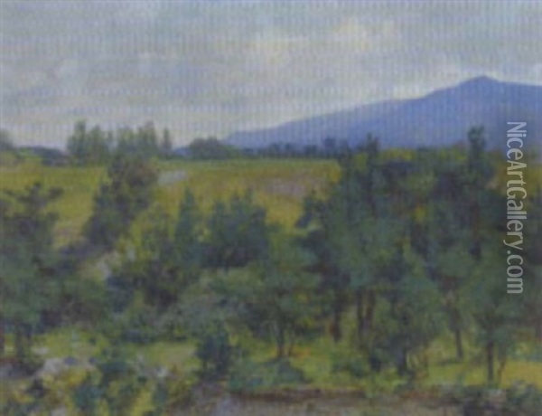 Landschaft Bei Hall In Tirol Oil Painting - Hans Tichy