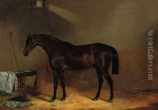 A Chestnut In The Stable Oil Painting - John Clement Bell