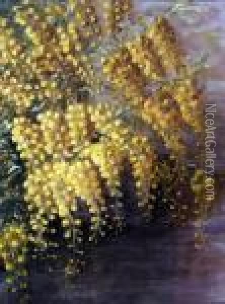 Mimose Oil Painting - Francesco Paolo Michetti