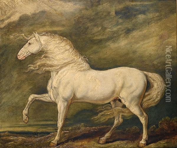 Adonis, The Favourite Charger Of King George Iii Oil Painting - James Ward