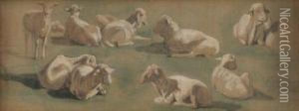 Etudes De Moutons Oil Painting - Louis Adolphe Hervier