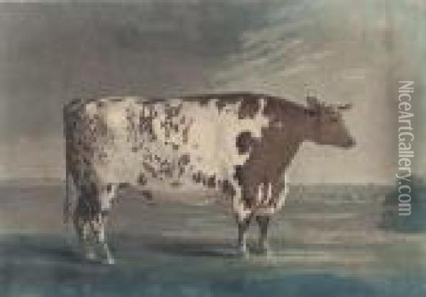 The Ketton Ox, By Robert Pollard Oil Painting - George Cuitt