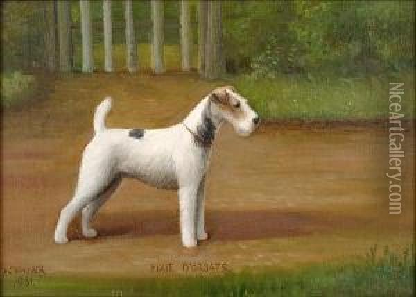 Pixie O'groats; A Wire Haired Fox Terrier Oil Painting - Henry Crowther