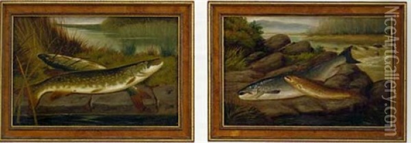 The Day's Catch (pair) Oil Painting - A. Roland Knight