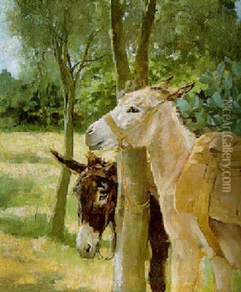 Donkeys, Tangier Oil Painting - Joseph Crawhall