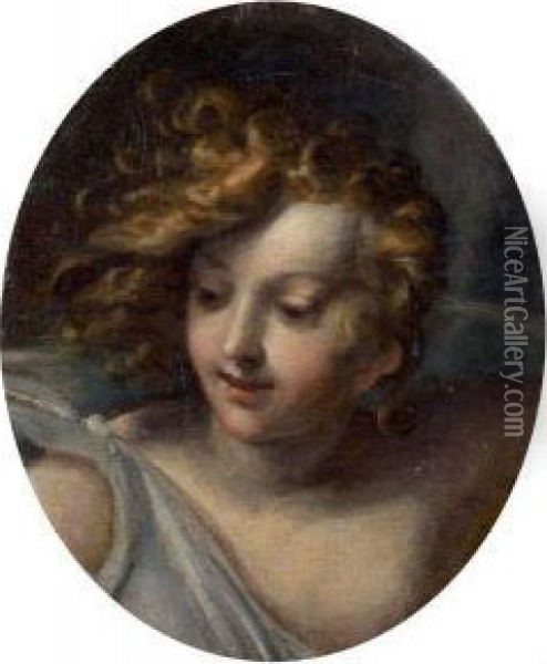 Jeune Femme En Buste Oil Painting - Giulio Cesare Procaccini