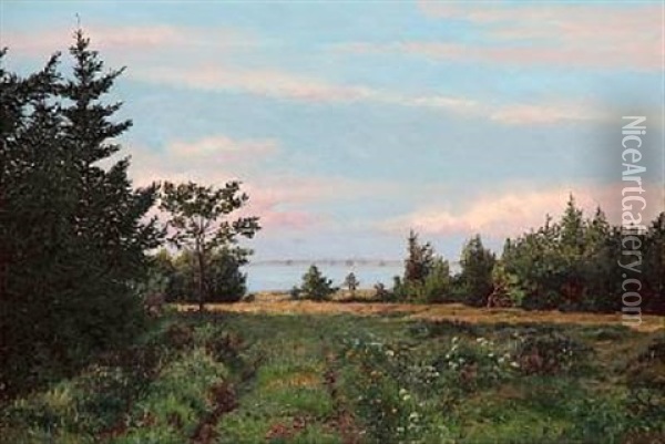 Landscape With A View Towards The Sound, Denmark Oil Painting - Anton Thiele