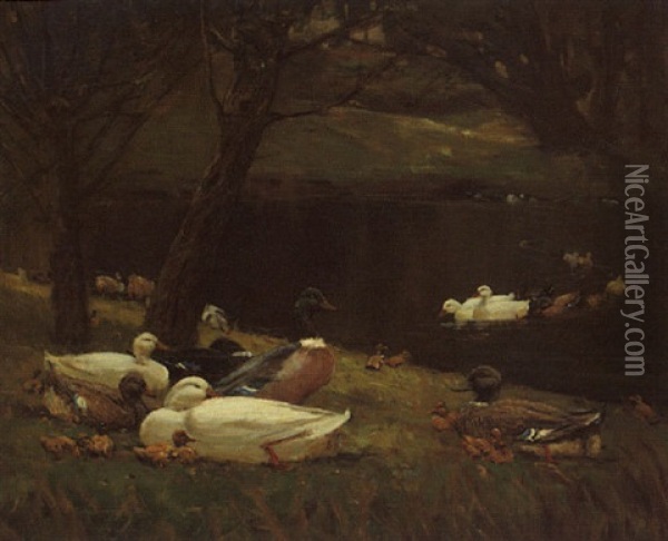 Ducks Oil Painting - Patrick Downie