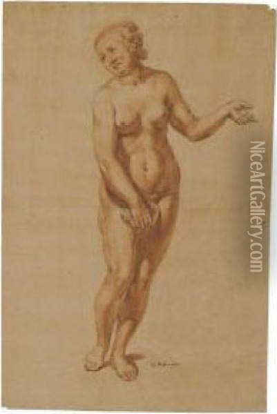 Study Of A Standing Female Nude Oil Painting - Conrad Meyer
