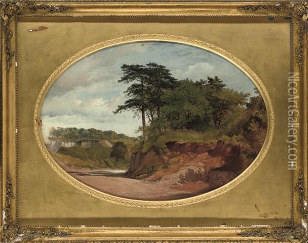 A Summer Landscape Oil Painting - John William Inchbold