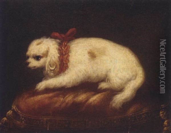 A Spaniel On An Embroidered Red Cushion Oil Painting - Jean Ranc