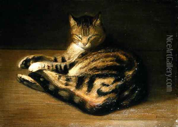 Recumbent Cat, 1898 Oil Painting - Theophile Alexandre Steinlen