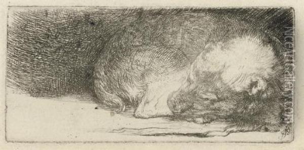 A Sleeping Puppy (b., Holl. 158; H. 174) Oil Painting - Rembrandt Van Rijn